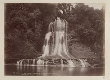 Image: Kakahi Falls near Tawhata, Wanganui River