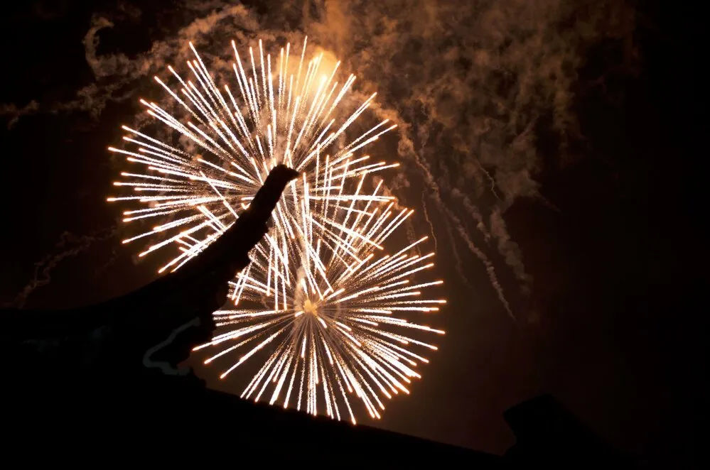 2014 Chinese New Year Celebrations