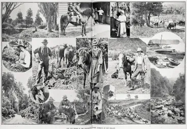 Image: Life and scenes in the picturesque country districts of New Zealand