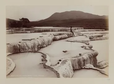 Image: The Hot Water Basins, White Terrace