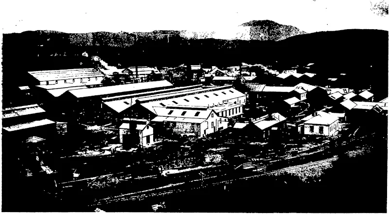 WAIHI GOLD MIKING COMPANY'S BATTERY AT WAIKINO (Otago Witness, 11 August 1909)