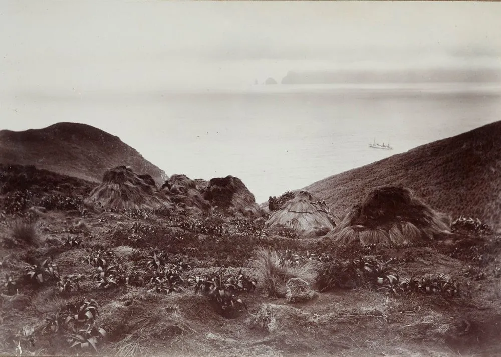 Shipwrecked mariners camp, Disappointment Island. Auckland Islands seven miles distant in background. From the album: [1907 Sub-Antarctic Expedition]; circa 1908; North, W.