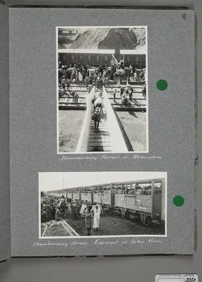 Disembarking Horses at Alexandria.