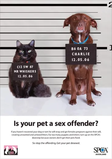 Image: Desex and the city