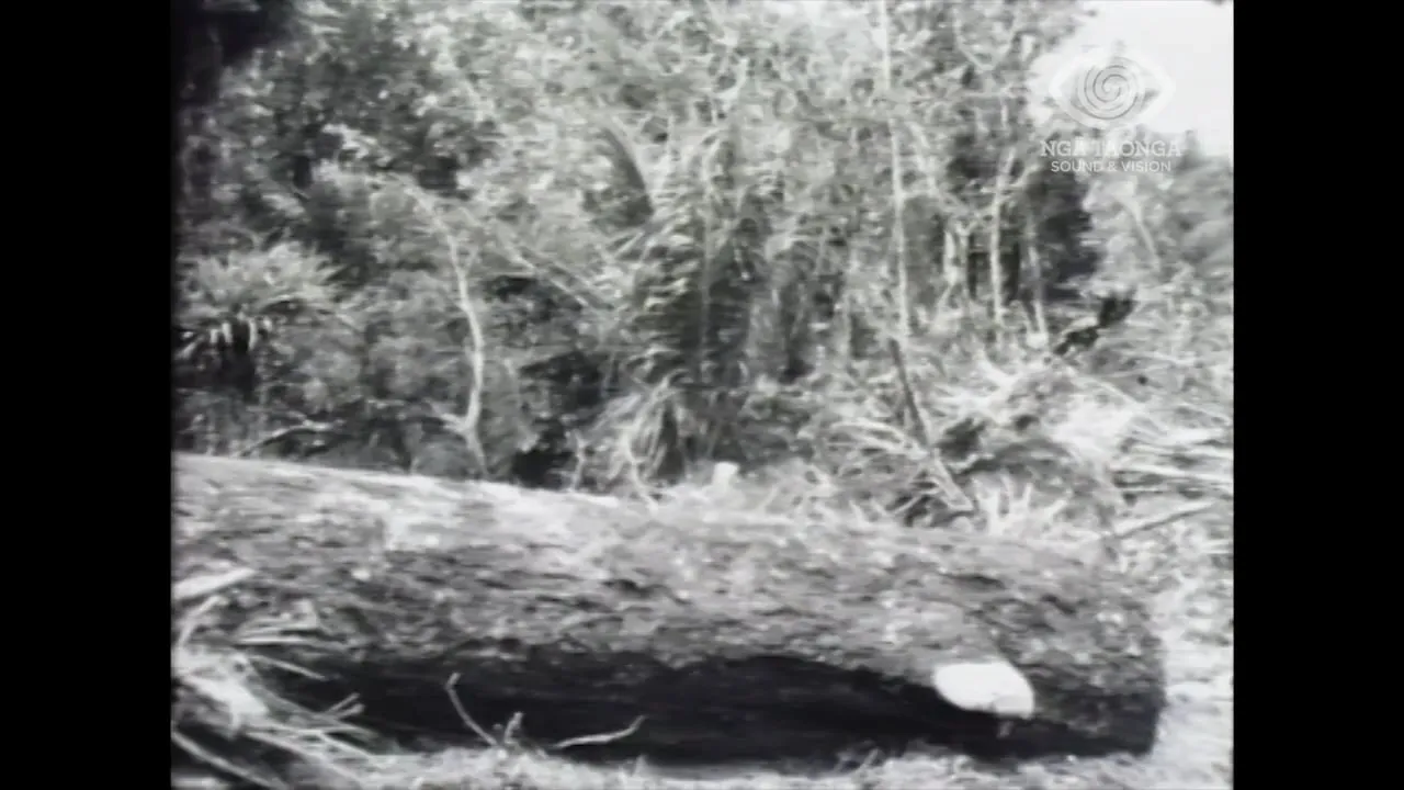 PERSONAL RECORD. LOVATT, CR. [TROOPSHIP, SOLDIERS MARCHING IN STREET & WAIMATE NORTH CENTENNIAL CELEBRATIONS]