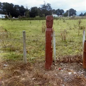 Image: Papawai whakapakoko: Photograph