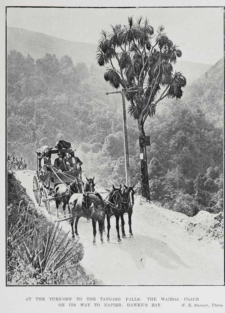 At the turn-off to the Tangoio falls
