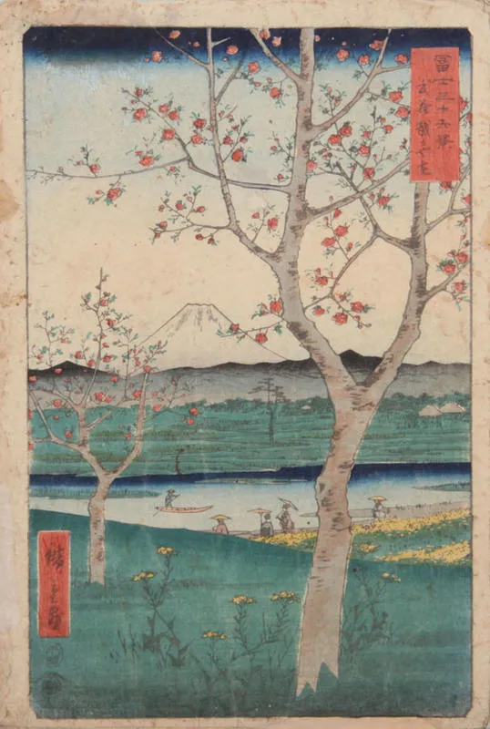 Musashi Koshigaya Zai.