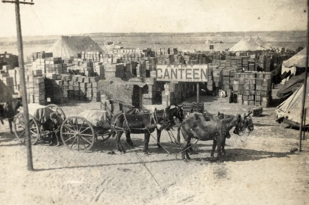 Egypt, & Sinai and Palestine