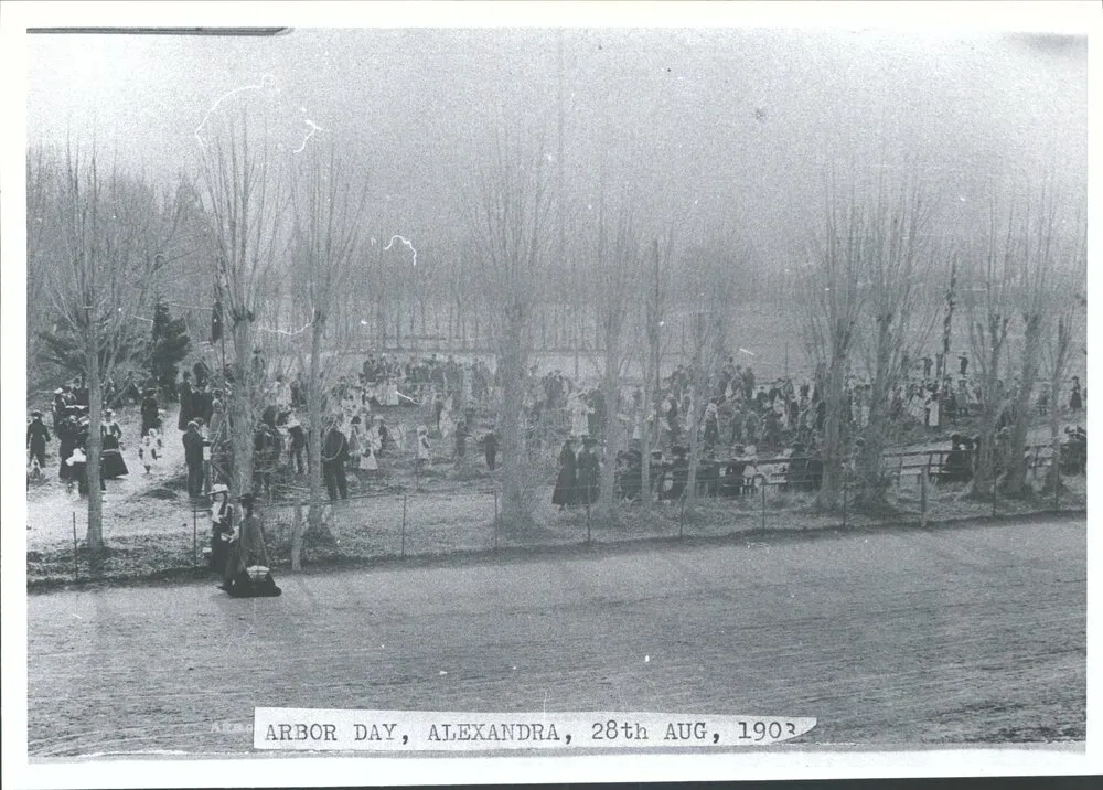 Arbor Day, Alexandra, 28th Aug 1903