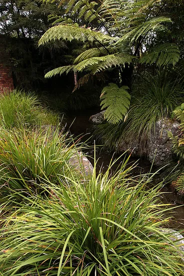 Image: Hamilton Gardens, Hamilton, New Zealand