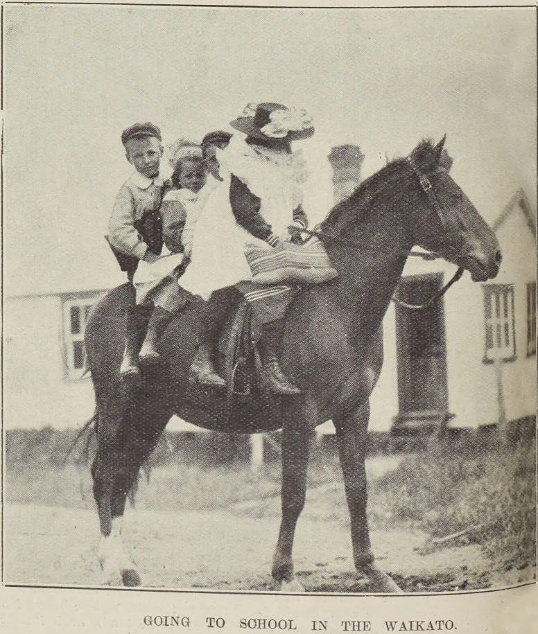Going to school in the Waikato