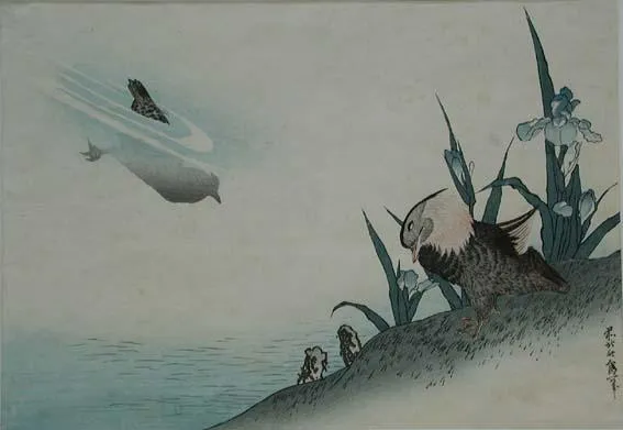 Two waterfowl with irises