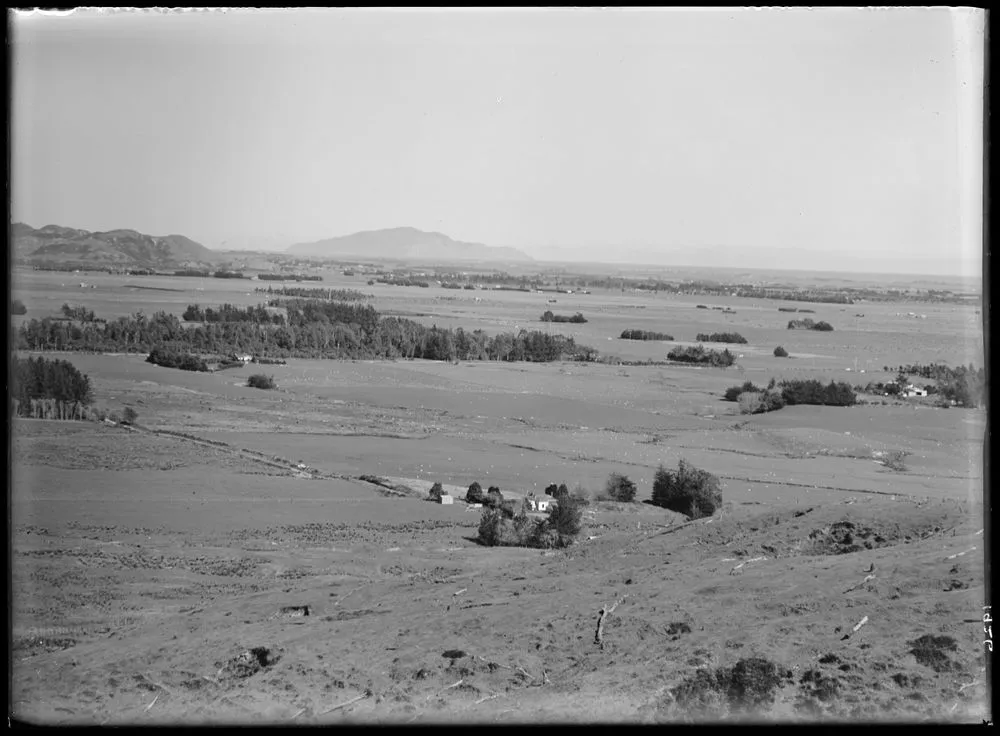 View over Horowhenua farmland to Kapiti Island