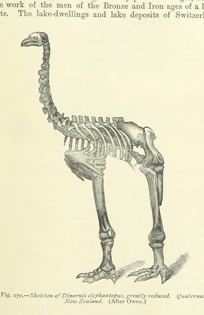 British Library digitised image from page 417 of "An Intermediate Text-Book of Geology. By C. Lapworth ... Founded on the Introductory Text-Book of Geology by ... David Page"