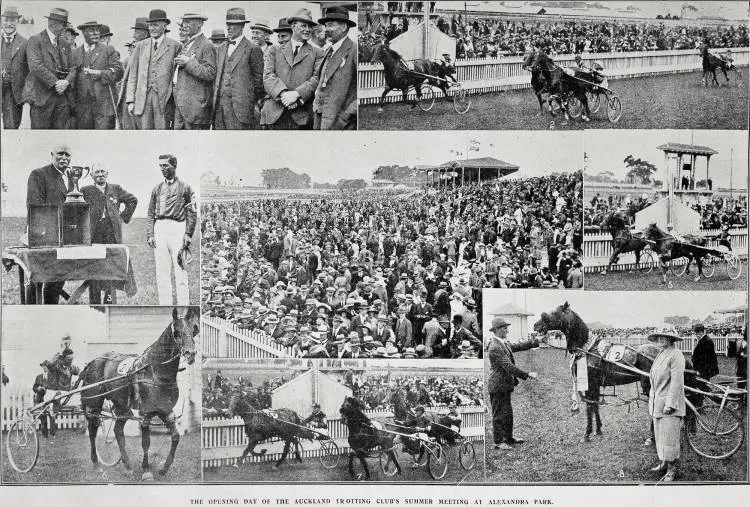 The opening day of the Auckland Trotting Club's summer meeting at Alexander Park