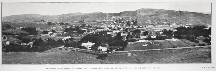 WELLINGTON'S CATTLE MARKET: A PANORAMIC VIEW OF JOHNSONVILLE. WHERE THE PRINCIPAL STOCK SAL ES OF THE EMPIRE CITY ARE HELD