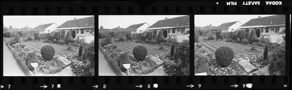 Garden at 7 Doreen Street