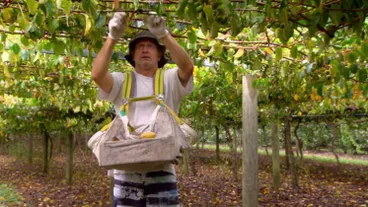 Image: Rural Delivery - Series Eight, Episode 19