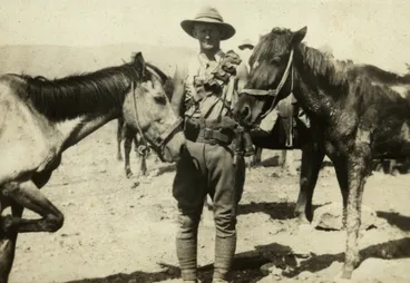 Image: Egypt & Sinai and Palestine