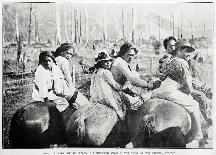 Maori children off to school: a picturesque scene in the heart of the Urewera Country