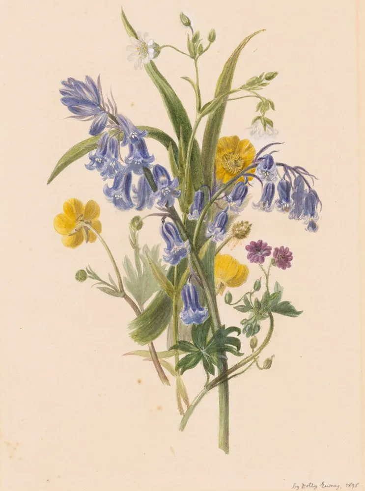 Bunch of wild flowers