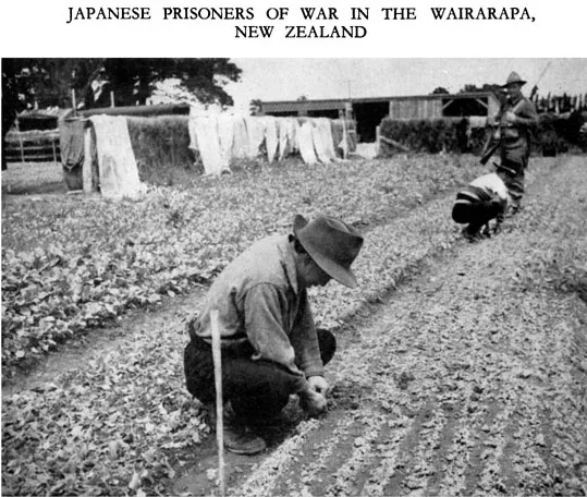 JAPANESE PRISONERS OF WAR IN THE WAIRARAPA NEW ZEALAND