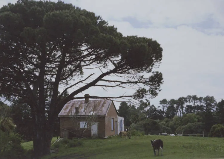 Granger Cottage, Whitford, ca 1979.