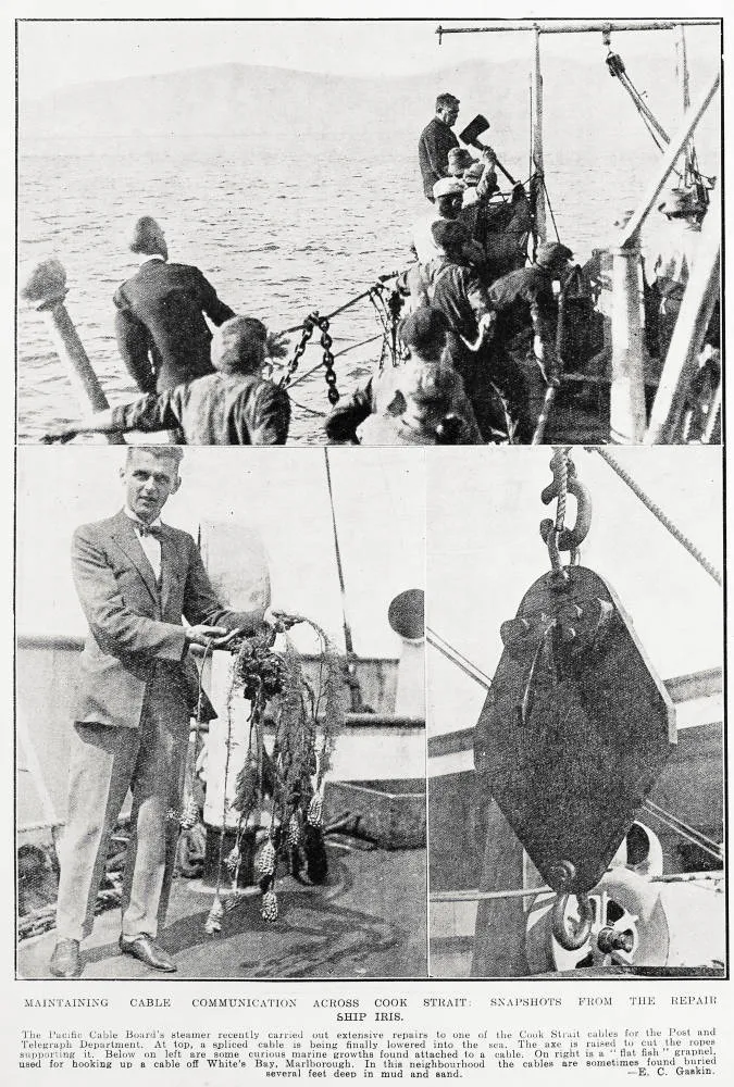 Maintaining cable communication across Cook Strait: snapshots from the repair ship Iris