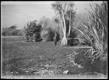 Image: Lake Horowhenua, 1926