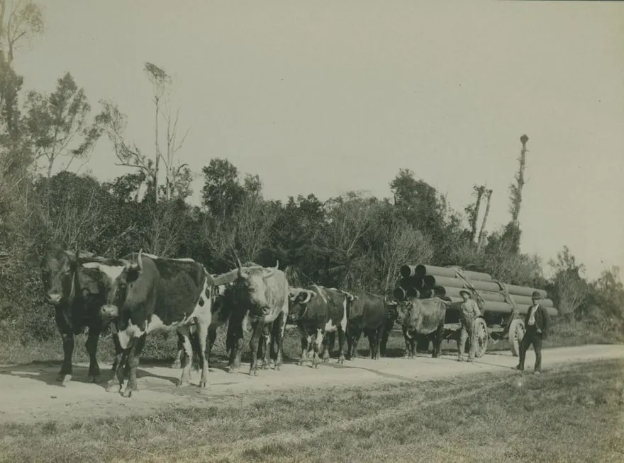 Levin High Pressure Water Supply photo 23