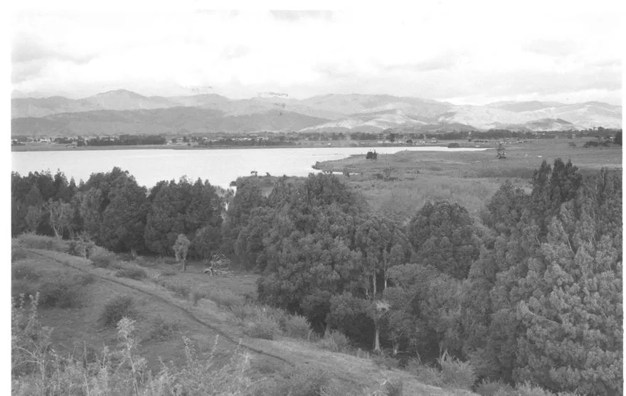 South end of Lake Horowhenua, 1977
