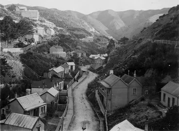 Image: Holloway Road, Mitchelltown, Wellington