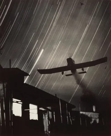 Image: Untitled. From the series: Night trails