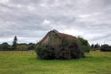 Image: Old house, Manakau, Manawatu, New Zealand
