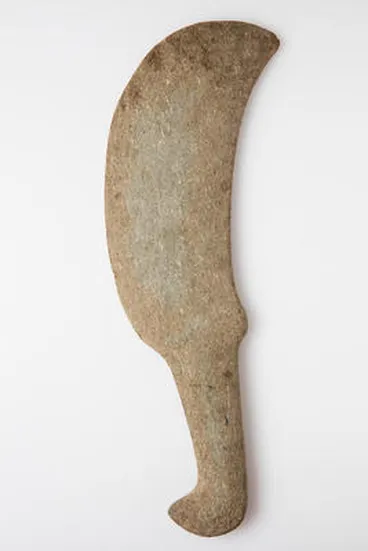 Image: patu