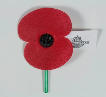 Image: Anzac poppy