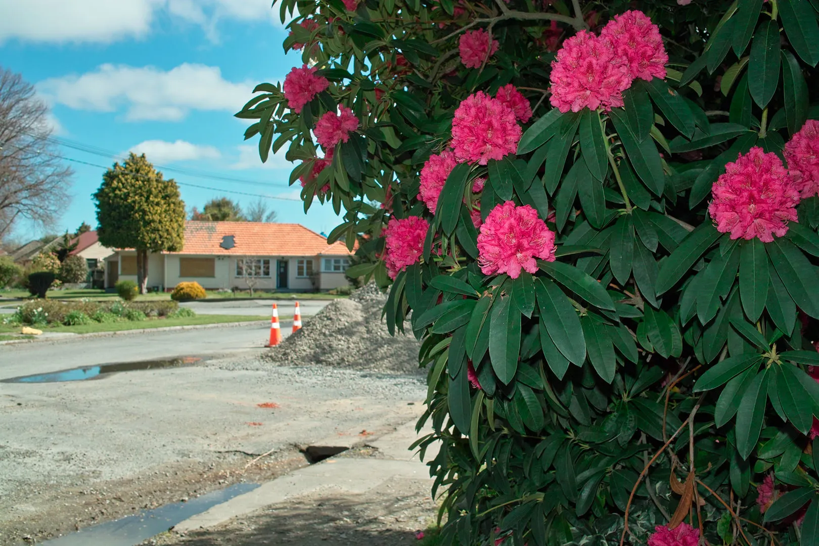 Medway Street corner