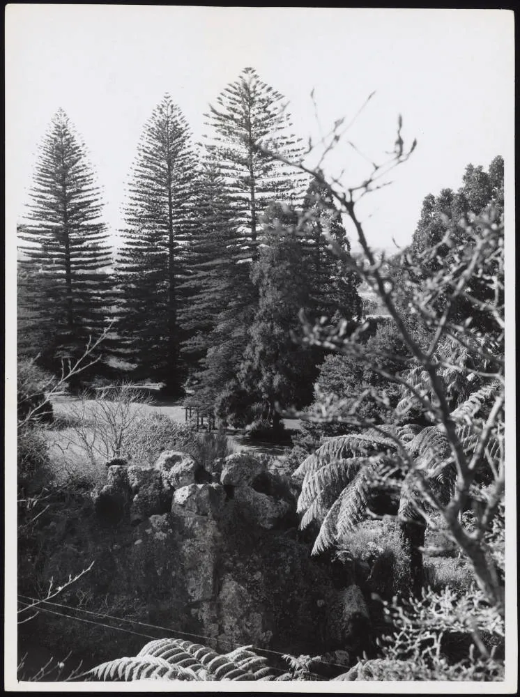 Frank Mappin's property, Mountain Road, Epsom, Auckland
