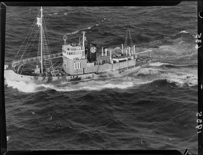 Japanese whale chasers
