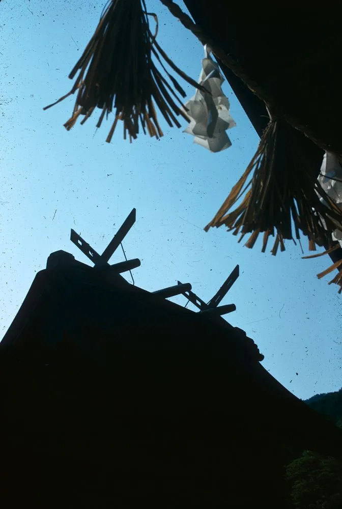 Japan Series: Izumo Shrine