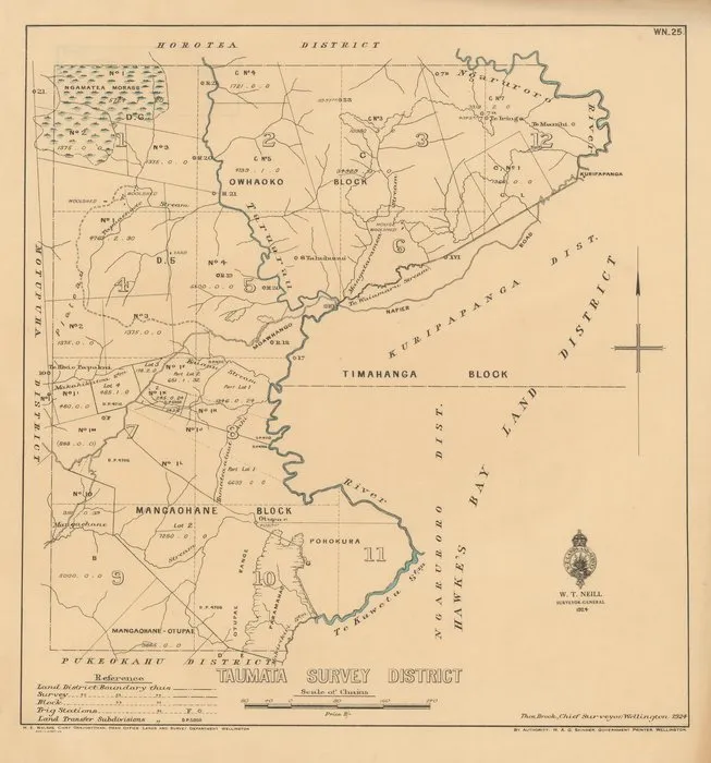 Taumata Survey District [electronic resource].