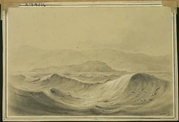 Image: Swainson, William, 1789-1855 :[Somes Island, Wellington] 1845.
