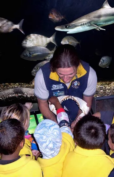 Education programmes Image: Education programmes