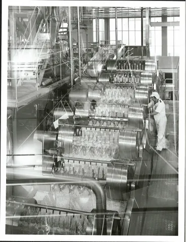 Image: Agriculture - Dairy Factories - Cheese