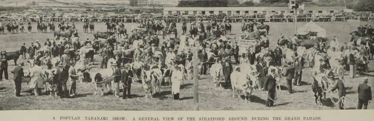 Grand parade at the Stratford Agricultural and Pastoral Society, featuring cattle and horses