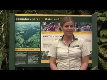Image: Meet the Locals: Boundary Stream