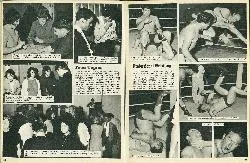 Professional Wrestling