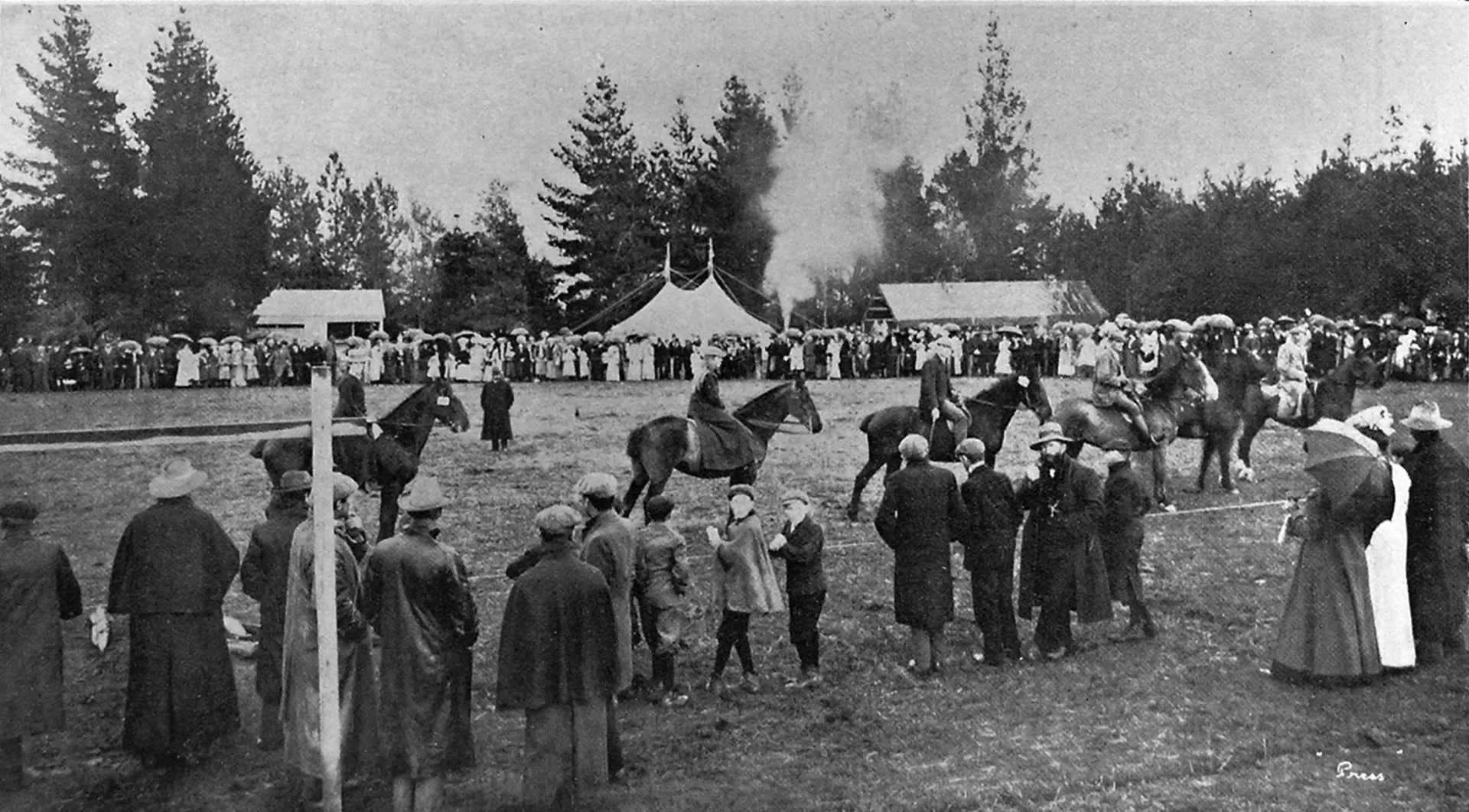 Judging saddle horses