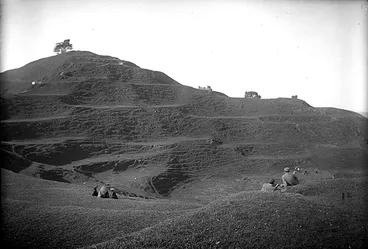 Image: Maungakiekie (One Tree Hill), Tāmaki-makau-rau